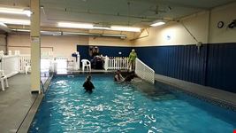  piscina coperta scoperta mar dolomit sauna massaggi solarium