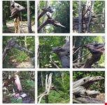  kasslatter otto scultore legno