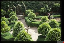  il giardino pensile
