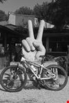  noleggio bici folgaria bike rent