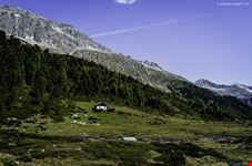  consigli utili
