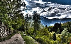  levico terme