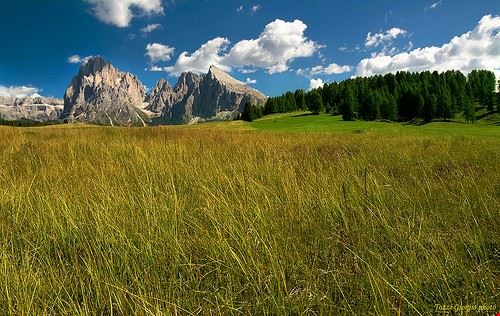  Alpe di Siusi Giorgio Tozzi photo - Attribution-NonCommercial-NoDerivs (http://creativecommons.org/licenses/by-nc-nd/2.0/) Giorgio Tozzi photo