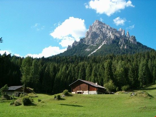 Parco Paneveggio