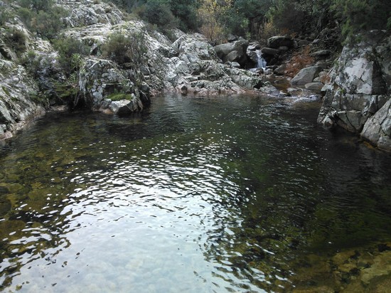 Gutturu Mannu