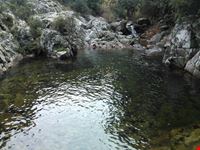 Gutturu Mannu
