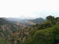 Monte Arcosu