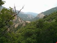 Monte Arcosu