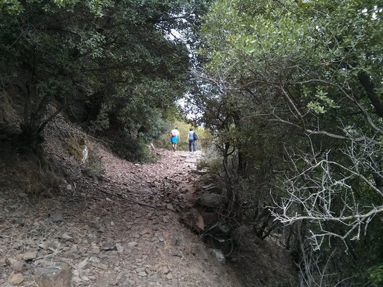 Monte Arcosu