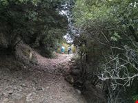 Monte Arcosu