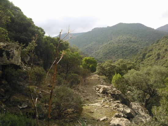 Monte Arcosu