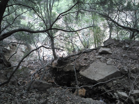 Monte Arcosu