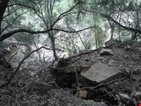 Monte Arcosu