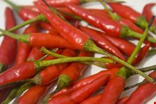  cucina tipica