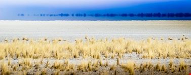  una fata vien dal mare