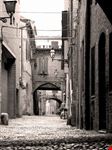 ferrara ferrara