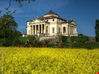  villa la rotonda