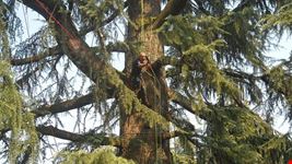  parco querini