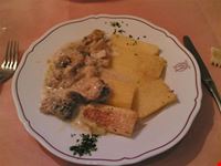  consigli utili