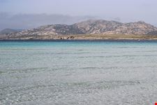  escursioni parco nazionale asinara