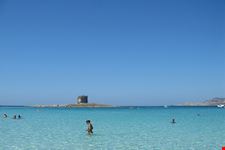  torre della pelosa