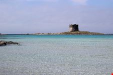  torre del falcone