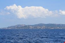  capo testa