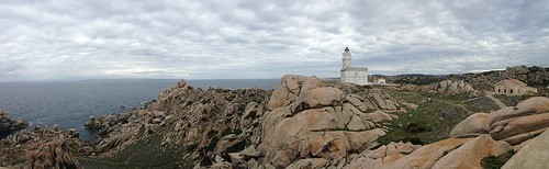  capo testa