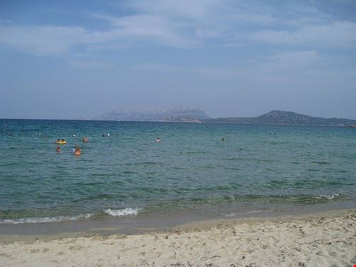  Olbia rosshuggett - Attribution License (http://creativecommons.org/licenses/by/2.0/) rosshuggett