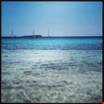  cala brandinchi