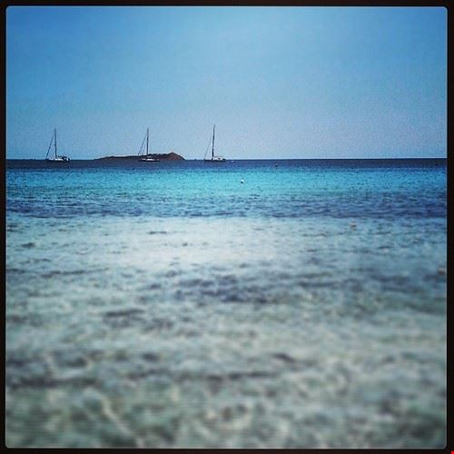  Olbia Lullaby71 - Attribution License (http://creativecommons.org/licenses/by/2.0/) Lullaby71