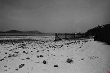  le spiagge di alghero
