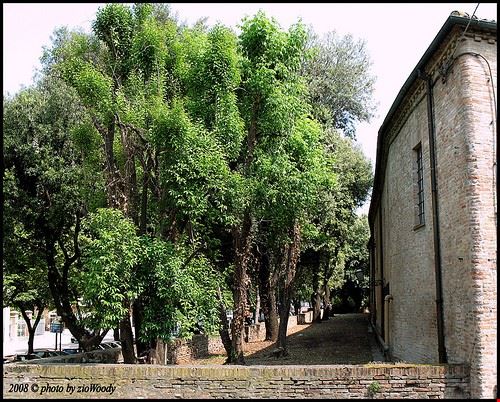  Forlì Cesena zioWoody - Attribution-NonCommercial-NoDerivs (http://creativecommons.org/licenses/by-nc-nd/2.0/) zioWoody