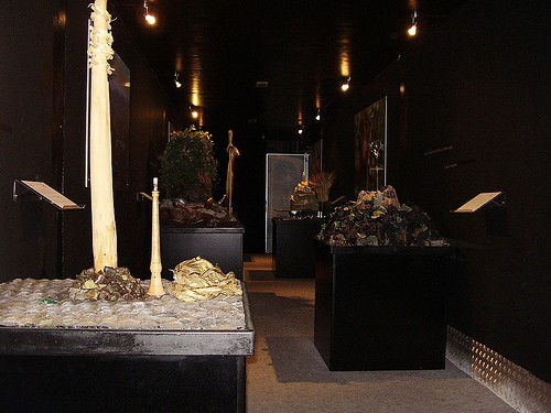  galleria museo rizzi