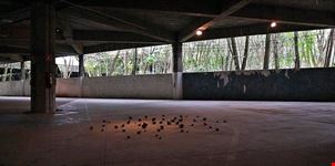  zelig arte contemporanea