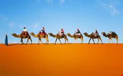 marrakech camel tour