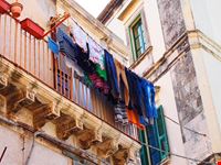  ortigia