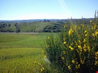 Parco della Canonica