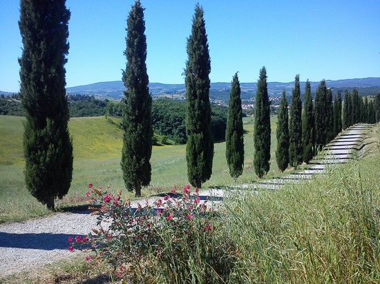 Parco della Canonica