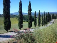 Parco della Canonica