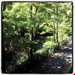  parco del cormor