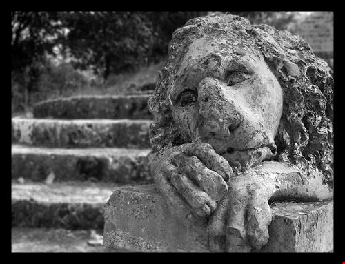 la rocca - pomarc - pomarc - Attribution-NonCommercial-NoDerivs (http://creativecommons.org/licenses/by-nc-nd/2.0/)