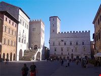 todi