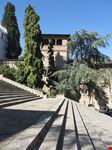 todi