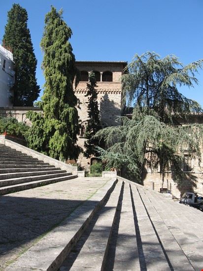  Todi  