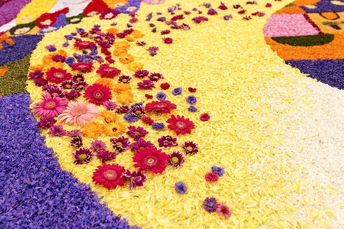  infiorata