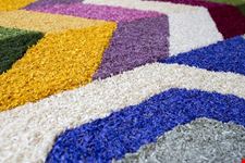  infiorata
