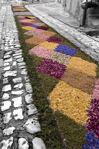  infiorata
