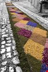  infiorata
