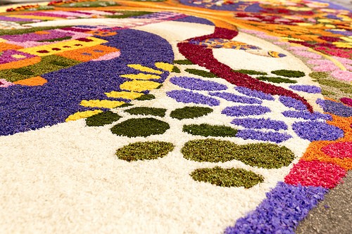  infiorata